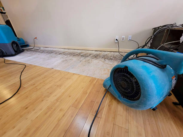 Professional Water Damage Repair technician working in Gibsonburg, OH